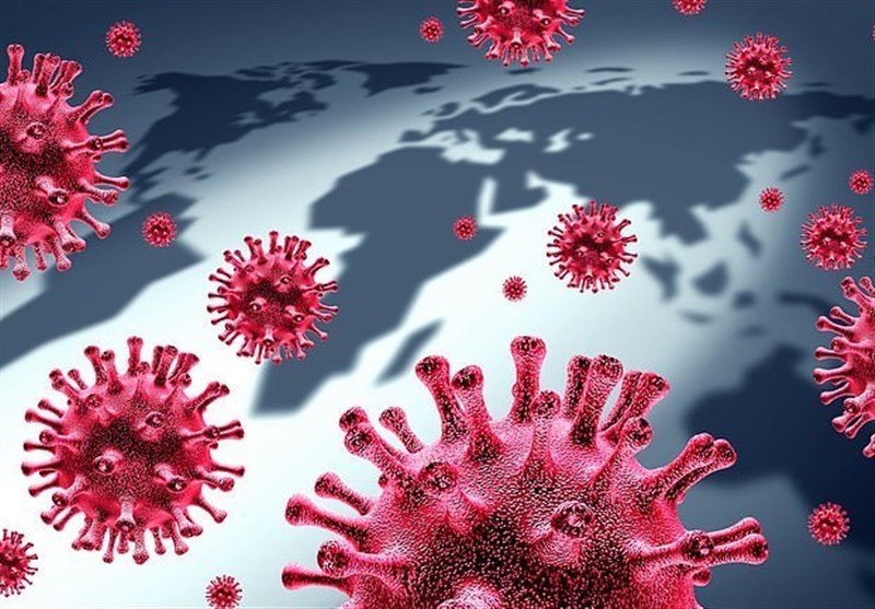 Viruses in the Environment: A Threat to All Living Creatures